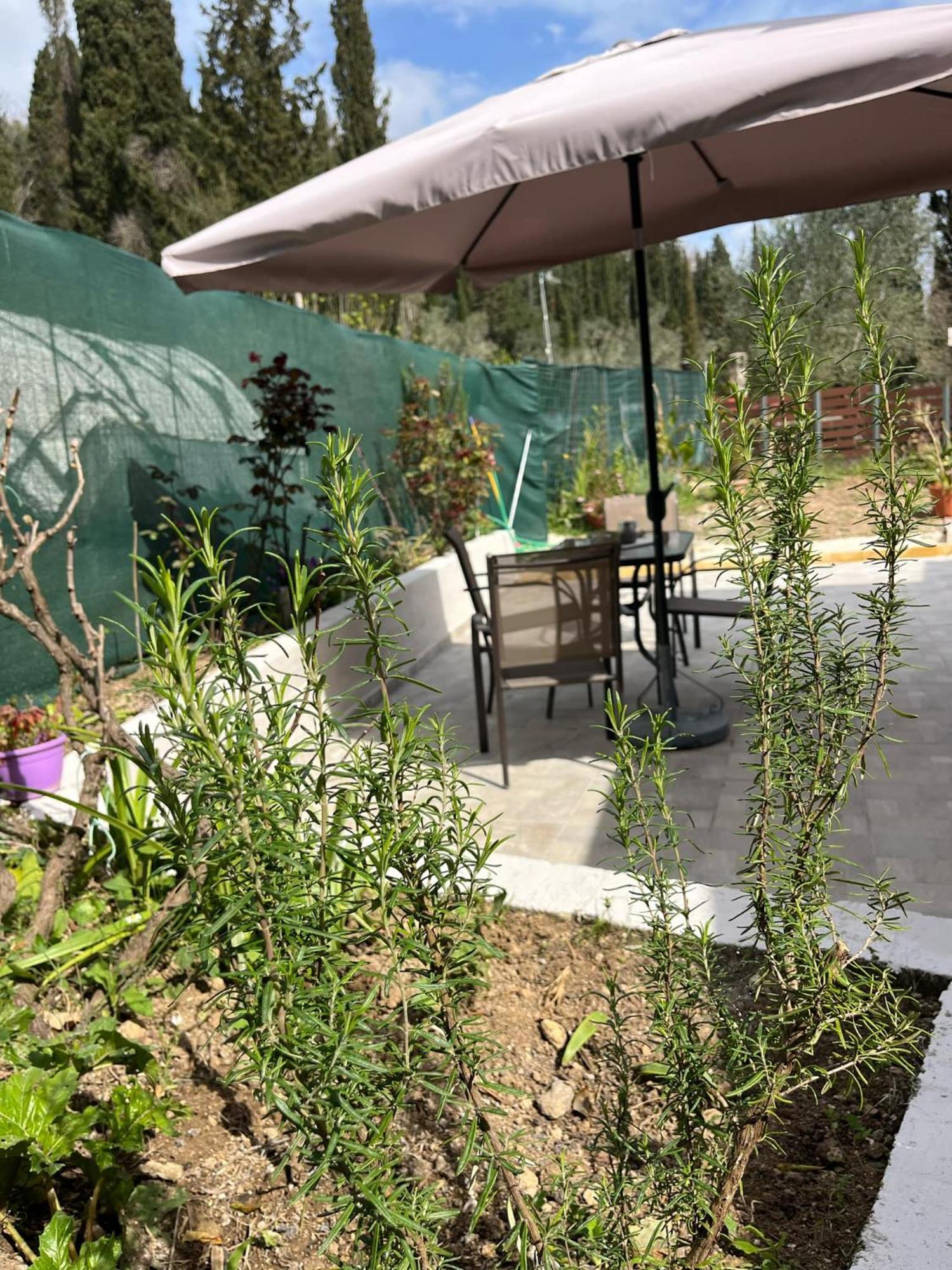 G&Z Cottage Kynopiástai Екстериор снимка